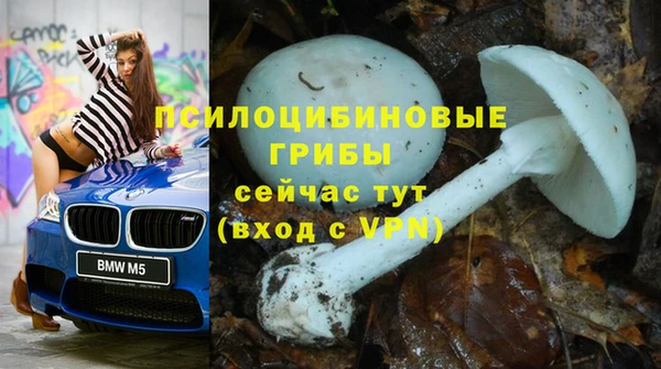 mdpv Покровск