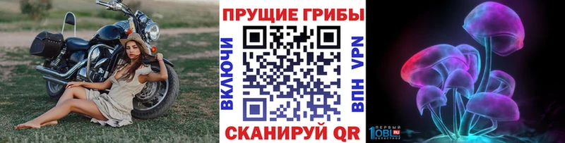 купить цена Сельцо Галлюциногенные грибы MAGIC MUSHROOMS
